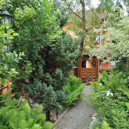 Pensiunea Ana Cristina Guest house