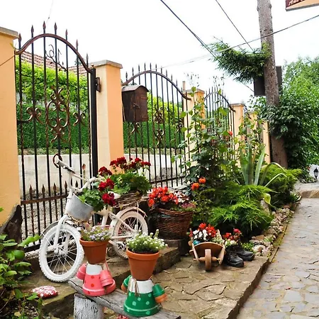 Pensiunea Ana Cristina Guest house