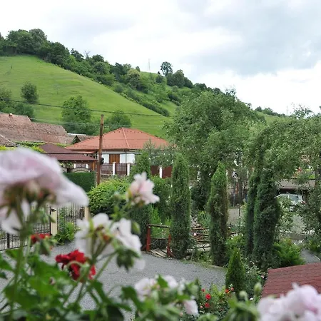 Pensiunea Ana Cristina Guest house