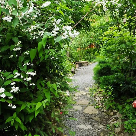 Pensiunea Ana Cristina Guest house