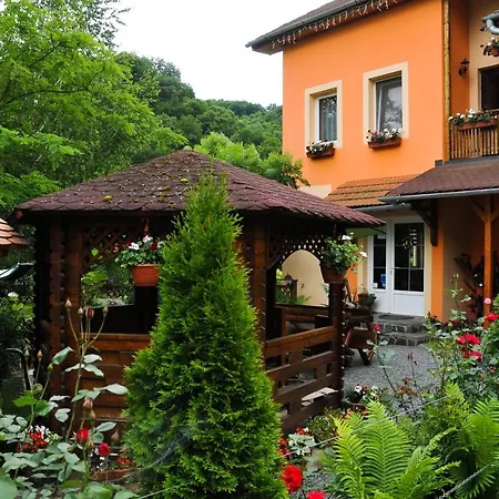 Pensiunea Ana Cristina Guest house 3*